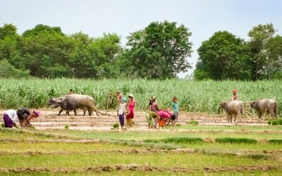 El Pueblo Nepalés Desarrolla Capacidad Agrícola Como Estrategia a Largo Plazo